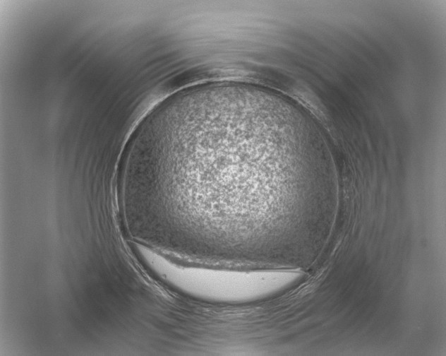 X0000061110891200512022122