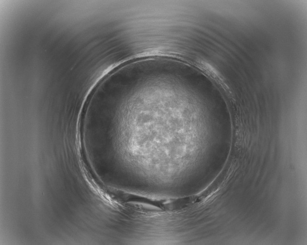 X0000061110892200512022122