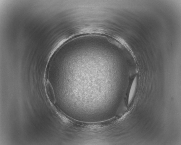 X0000061110893200512022122