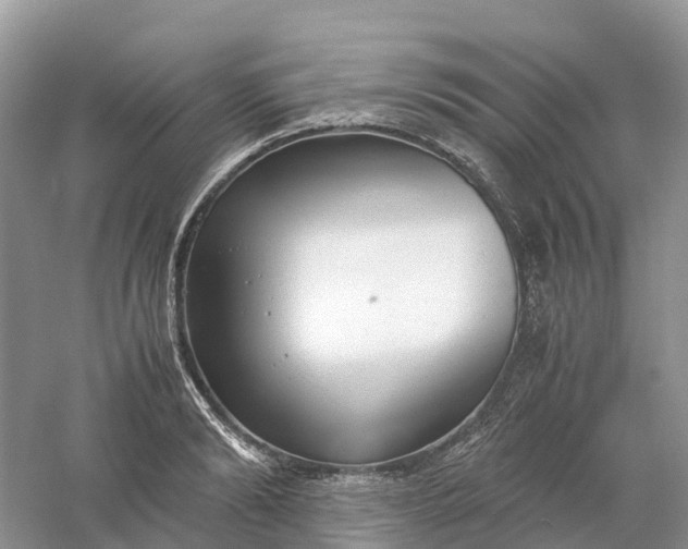 X0000061110894200512022122