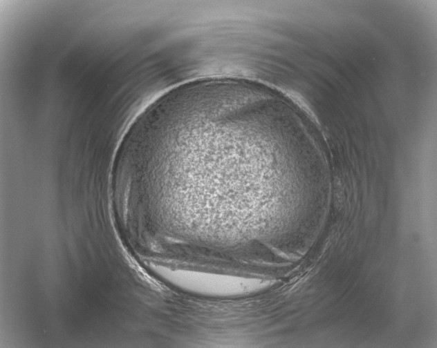 X0000061110895200512022122