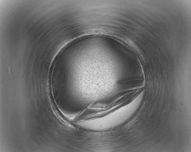 X0000061110896200512022122