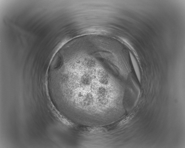 X0000061110899200512022122