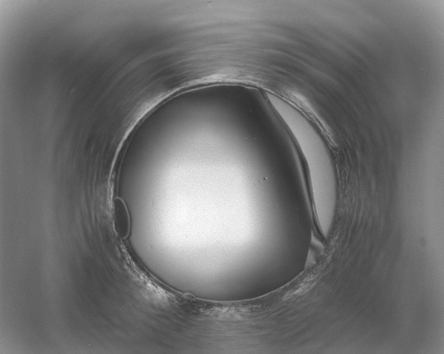 X0000061110900200512022122