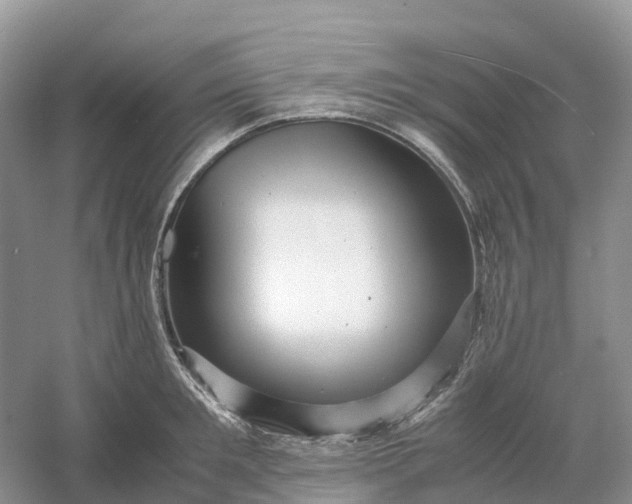 X0000061110901200512022122