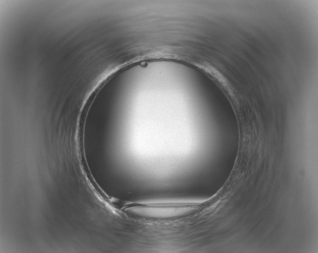 X0000061110902200512022122