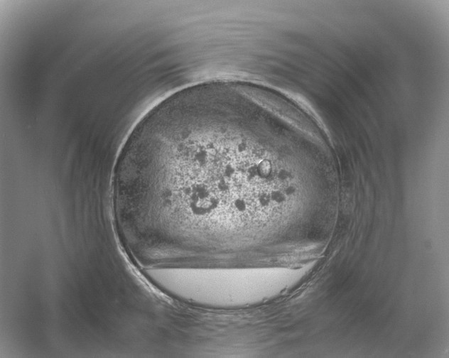 X0000061110903200512022122