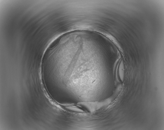 X0000061110904200512022122