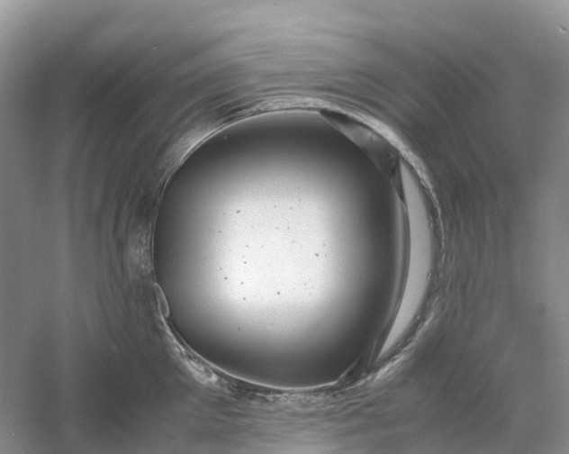 X0000061110905200512022122