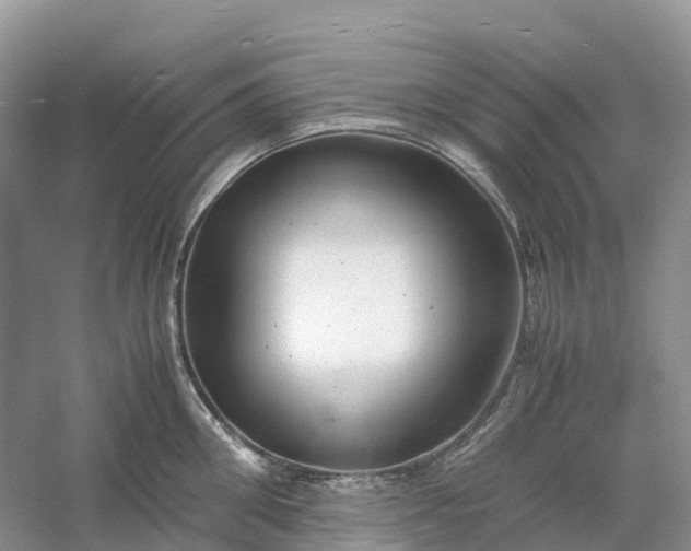 X0000061110906200512022122