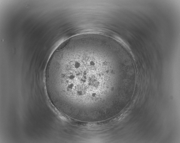 X0000061110907200512022122