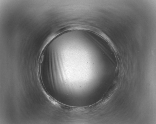 X0000061110909200512022122