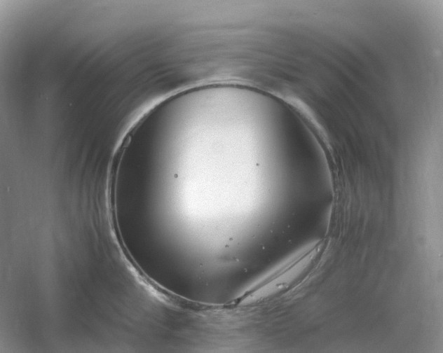 X0000061110910200512022122