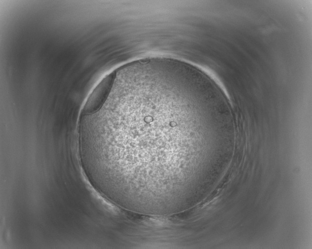 X0000061110911200512022122