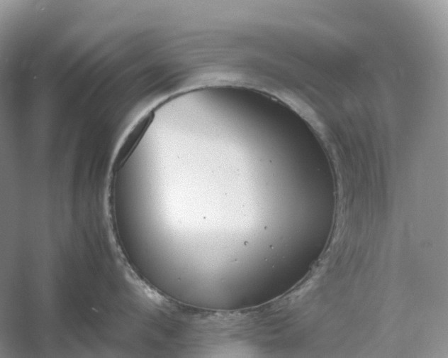 X0000061110912200512022122