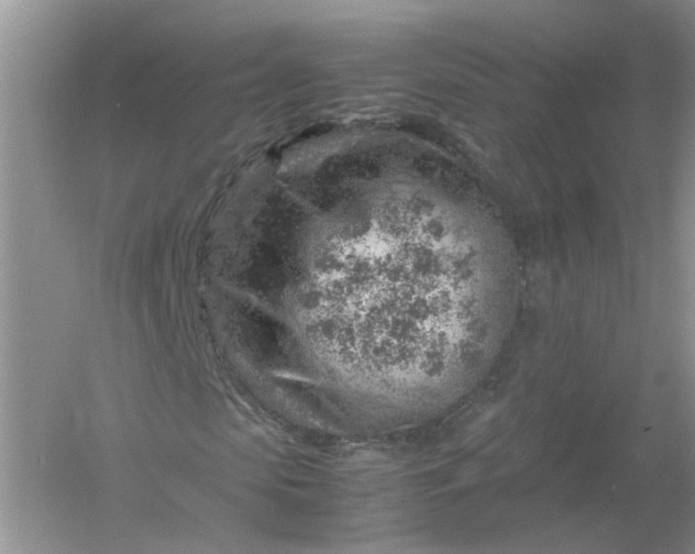 X0000061110913200512022121