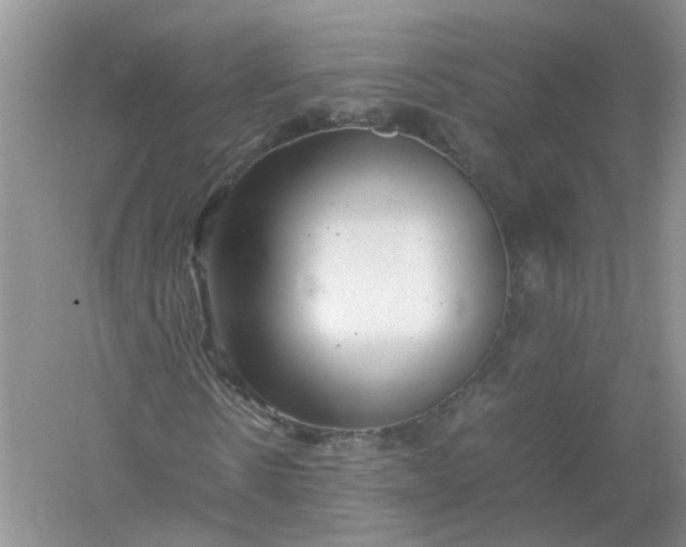 X0000061110914200512022121