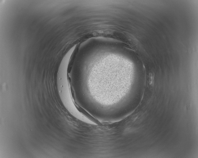 X0000061110915200512022121