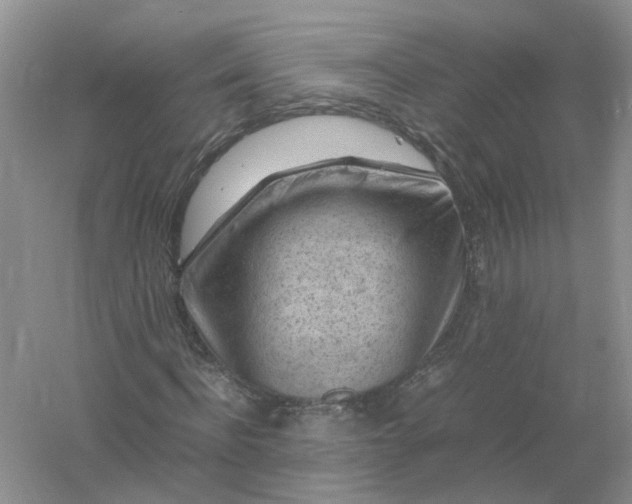 X0000061110916200512022121