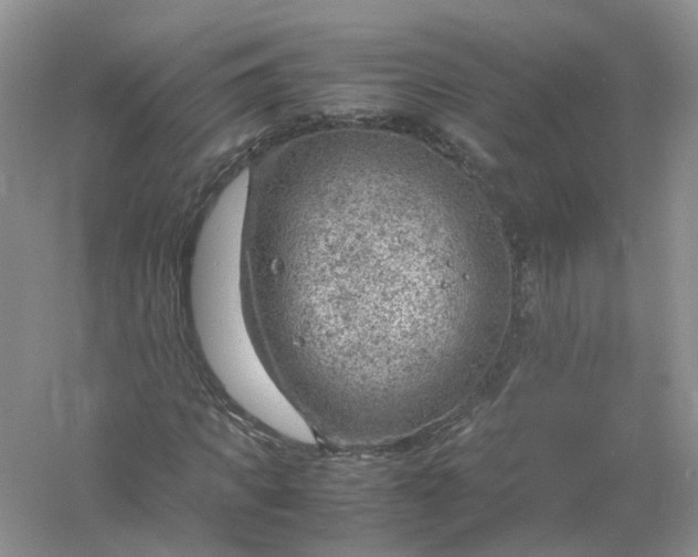 X0000061110917200512022121