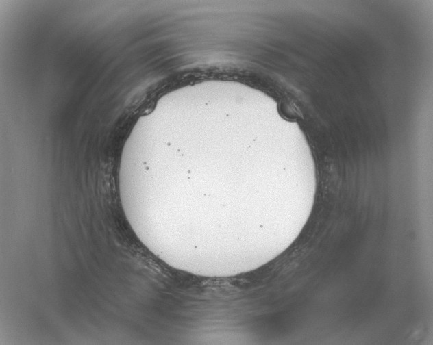 X0000061110918200512022121