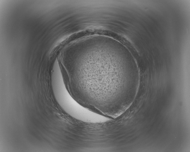 X0000061110919200512022121