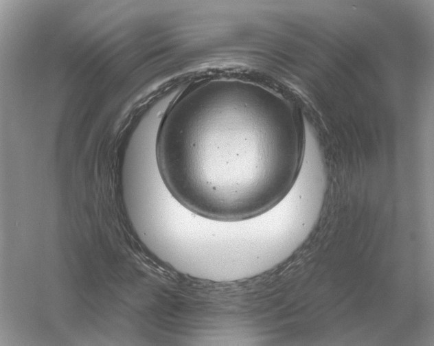 X0000061110920200512022121