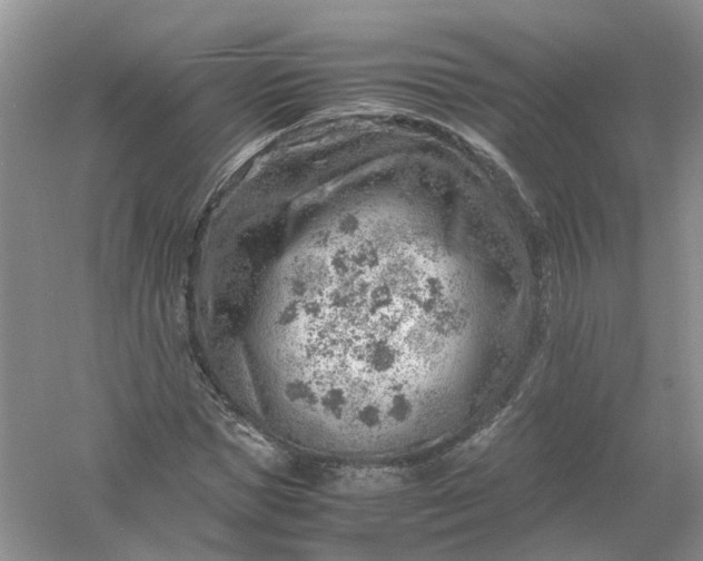 X0000061110921200512022121