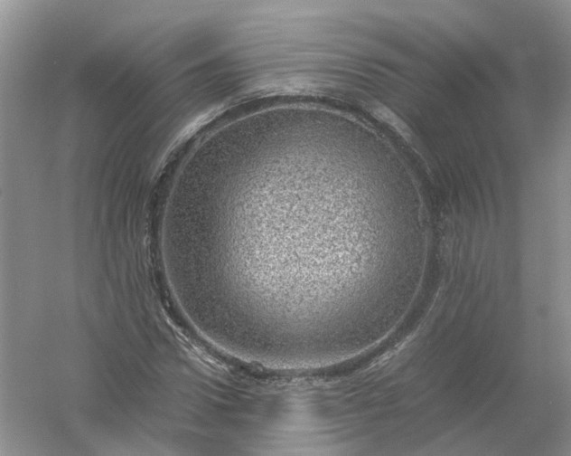 X0000061110922200512022121