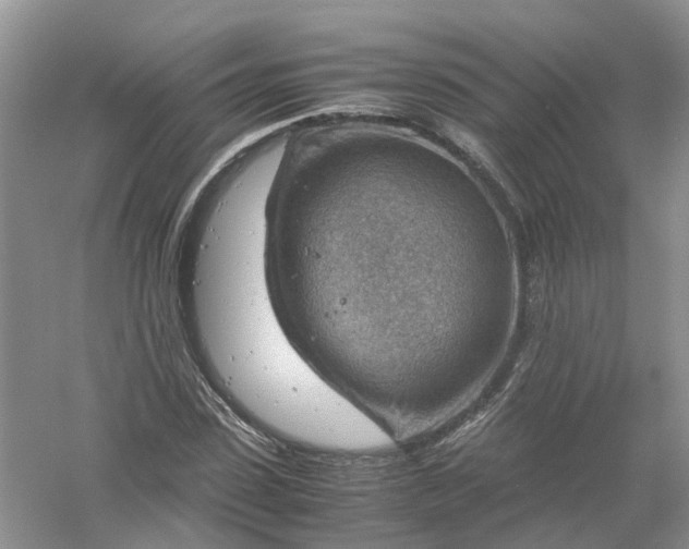 X0000061110923200512022121