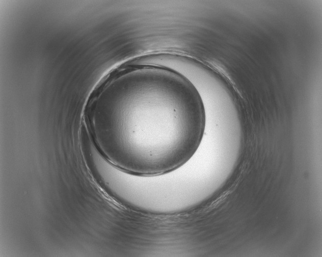 X0000061110924200512022121