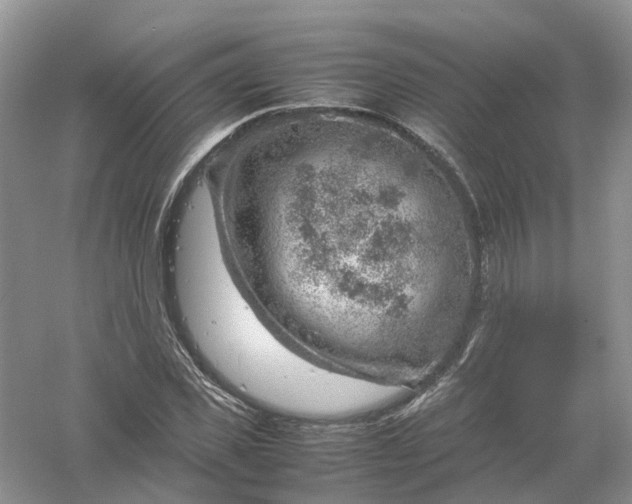 X0000061110925200512022121