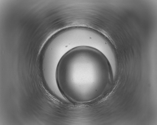 X0000061110926200512022121