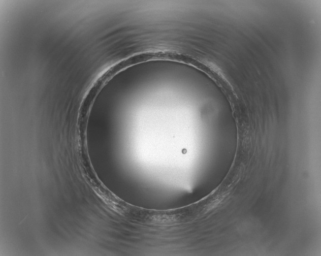 X0000061110927200512022121