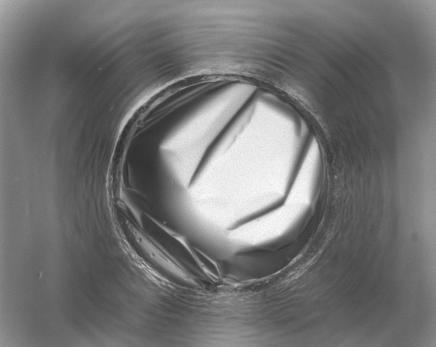 X0000061110928200512022121