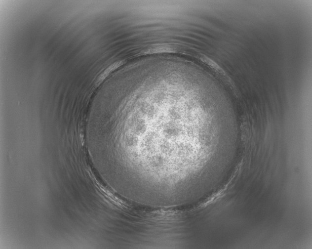 X0000061110929200512022121