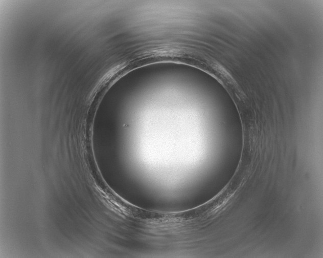 X0000061110930200512022121