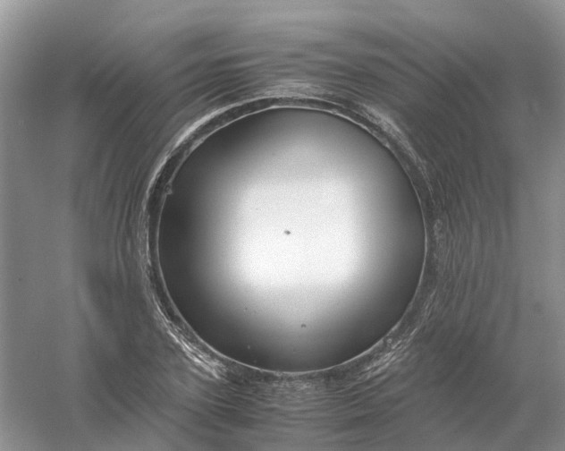 X0000061110931200512022121