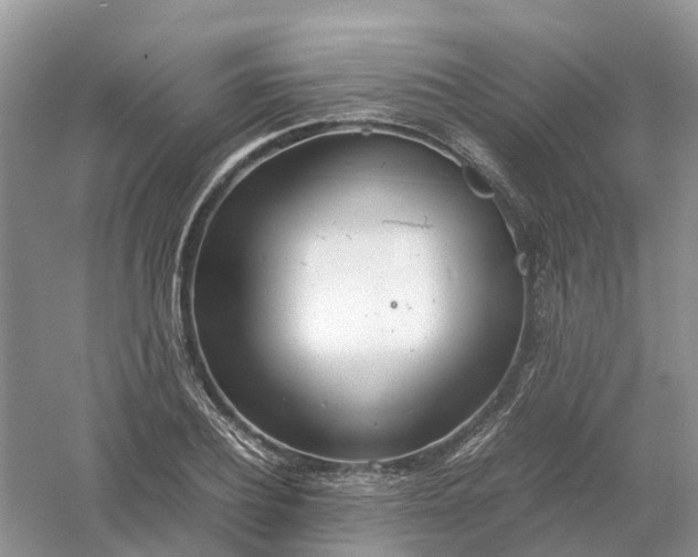 X0000061110932200512022121