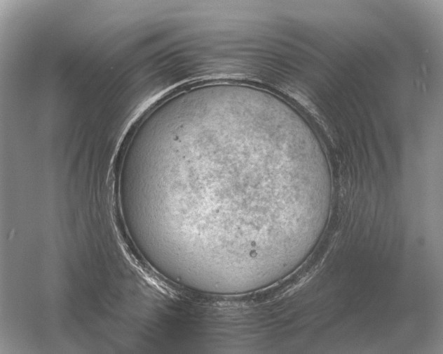 X0000061110933200512022122