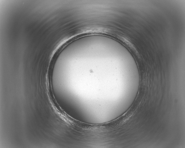 X0000061110936200512022122