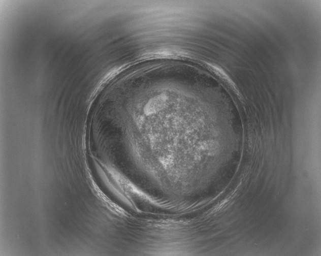 X0000061110938200512022122