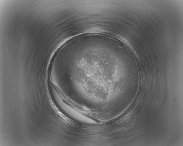 X0000061110939200512022122