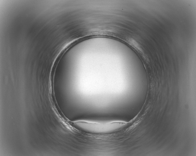 X0000061110940200512022122