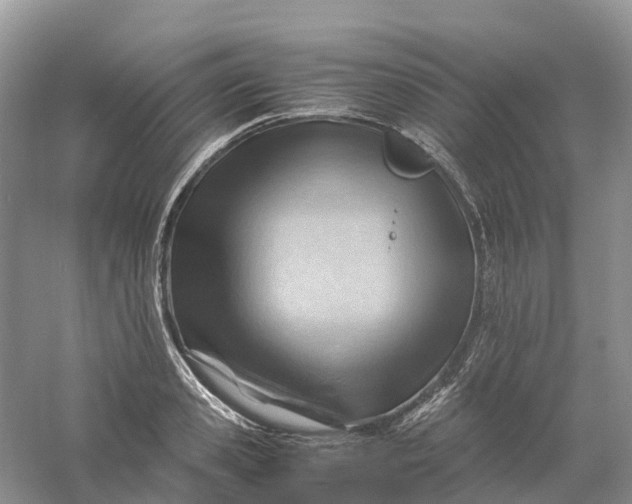 X0000061110941200512022122