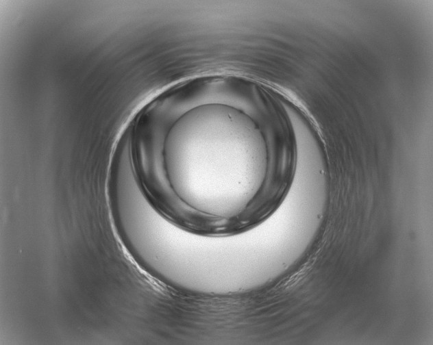 X0000061110943200512022122