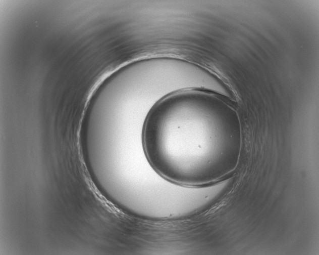 X0000061110944200512022122