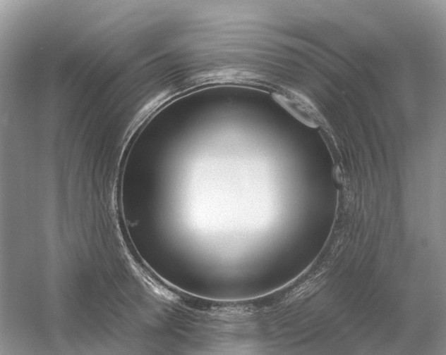 X0000061110946200512022122