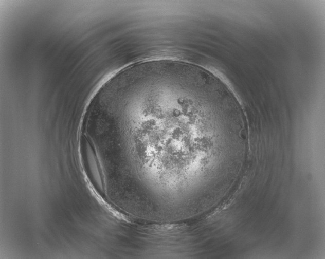 X0000061110949200512022122