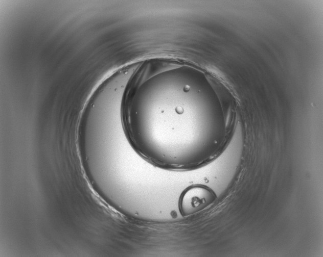 X0000061110950200512022122